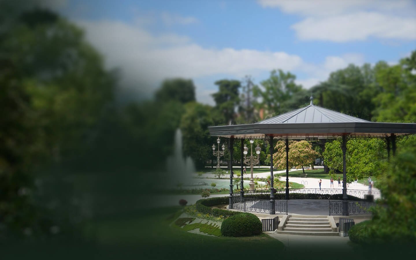 Jardin entretenu avec finition soignée de Toulouse à Montauban